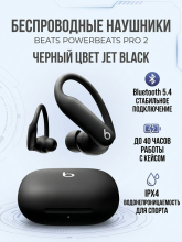 Беспроводные наушники Beats Powerbeats Pro 2 Jet Black/Черный